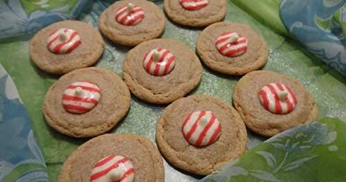BISCUITS AU BEURRE D’ARACHIDES / PEANUT BUTTER COOKIES / GALLETAS CON MANTEQUILLA DE MANI / بيسكوي بزبدة الفول السوداني