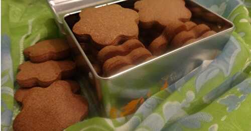 BISCUITS AU CHOCOLAT / CHOCOLATE COOKIES / GALLETAS DE CHOCOLATE / بسكوي بالشكلاط