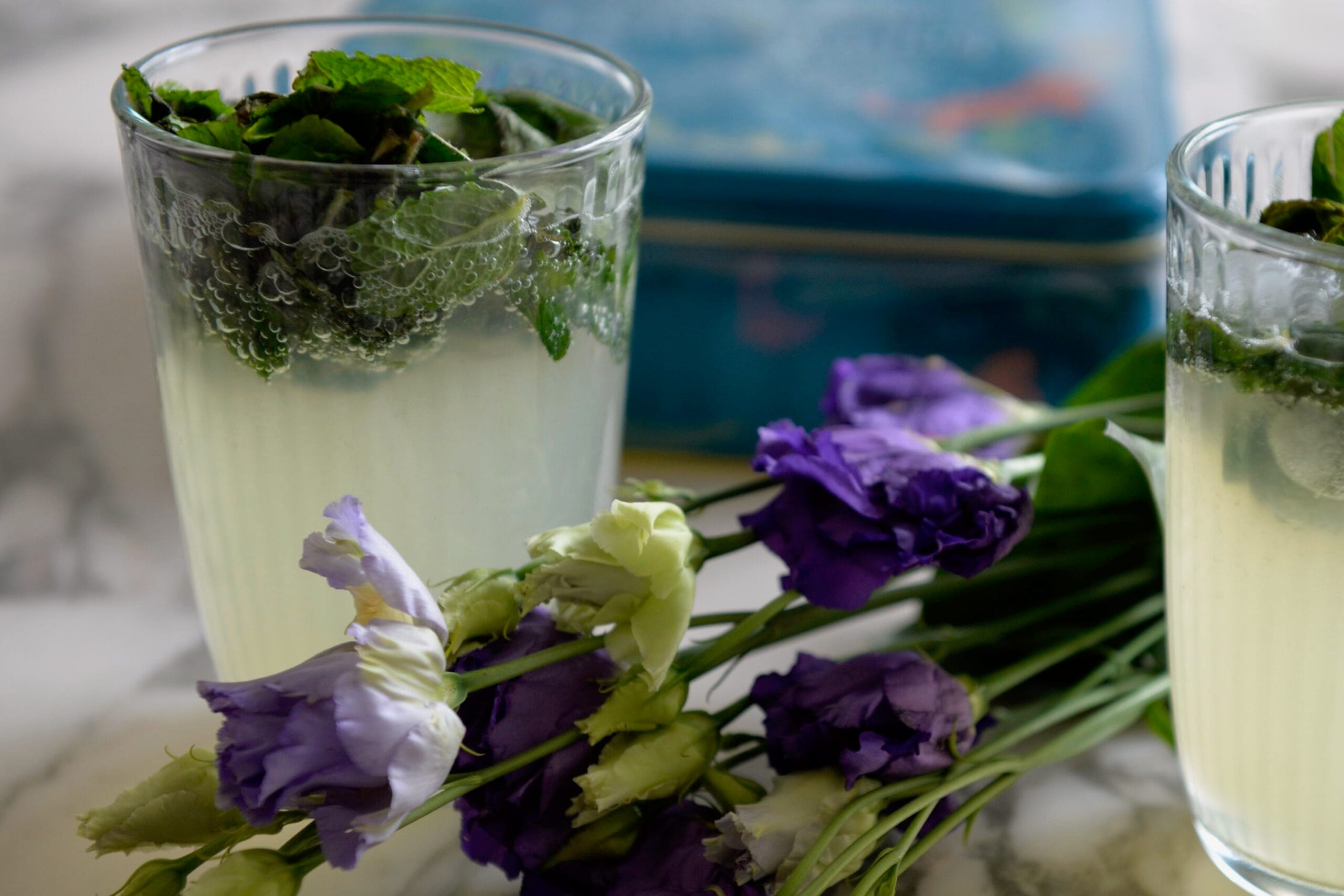 THE PERFECT VIRGIN MOJITO