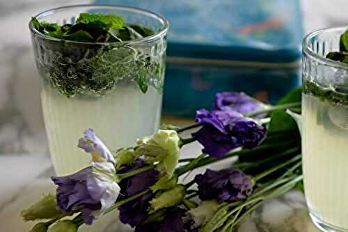 THE PERFECT VIRGIN MOJITO