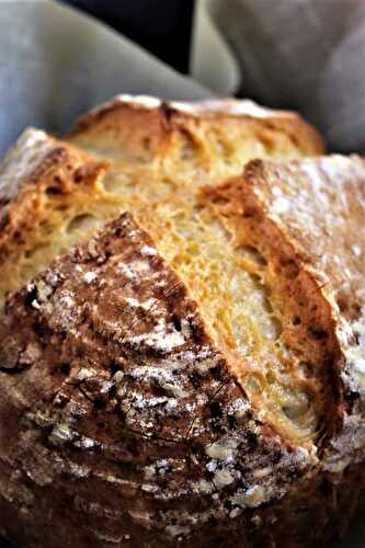 Gluten Free Artisan Sourdough Bread