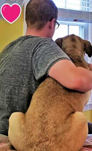 Sweet Saturday: 08/24/19 - Let Them Eat Gluten Free Cake