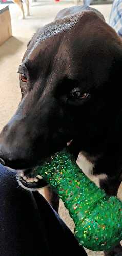 Sweet Saturday: 09/14/19 - Let Them Eat Gluten Free Cake