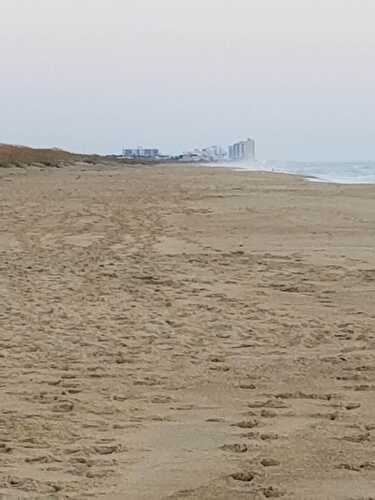 Sweet Saturday: 10/12/19 - Let Them Eat Gluten Free Cake