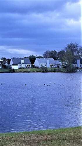 Sweet Saturday: 11/15/19 - Let Them Eat Gluten Free Cake