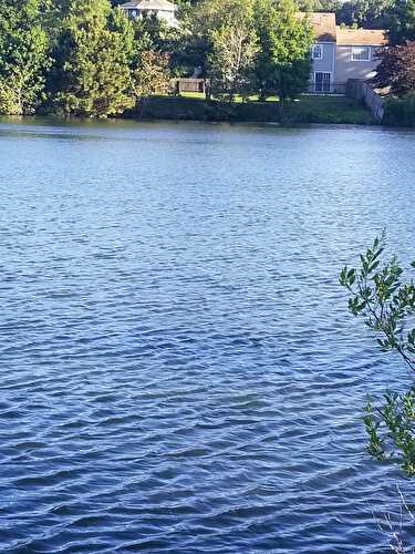 Sweet Saturdays: 06/22/19 - Let Them Eat Gluten Free Cake