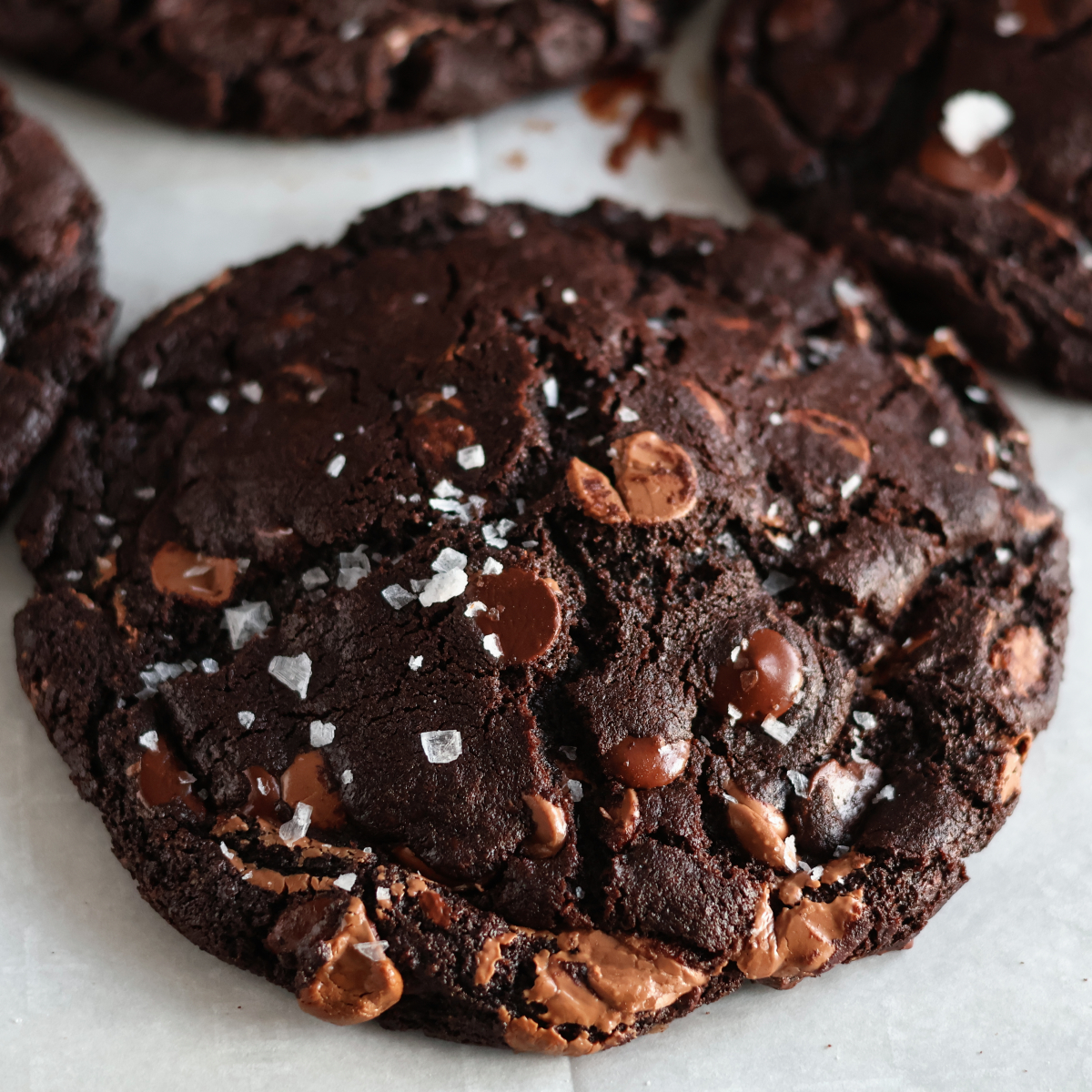 Gluten Free Double Chocolate Chip Cookies