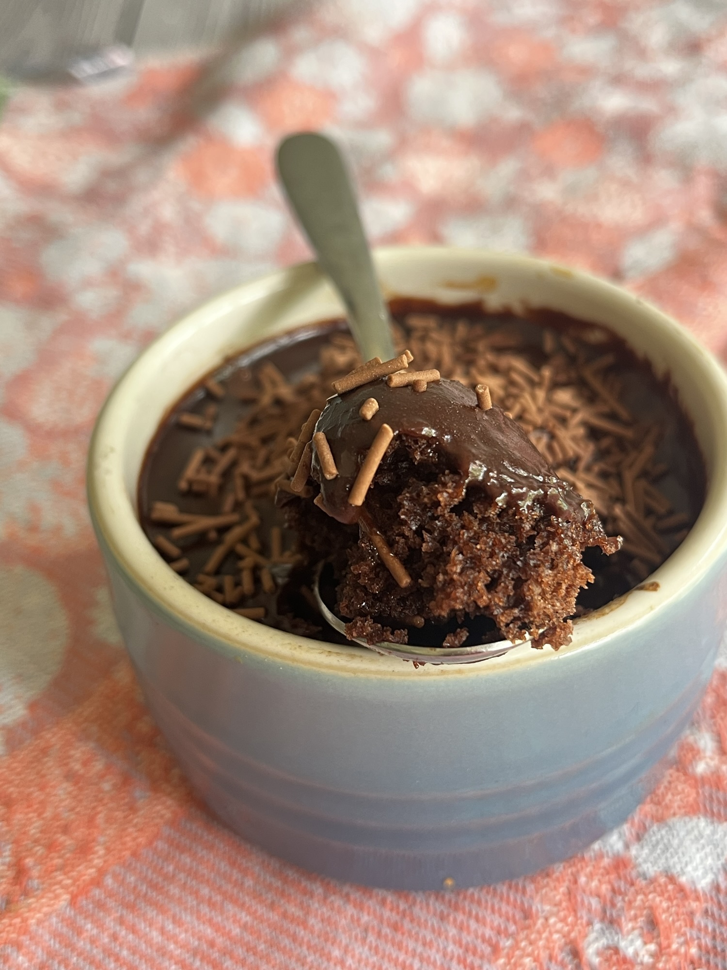 Chocolate Fudge Cake for one