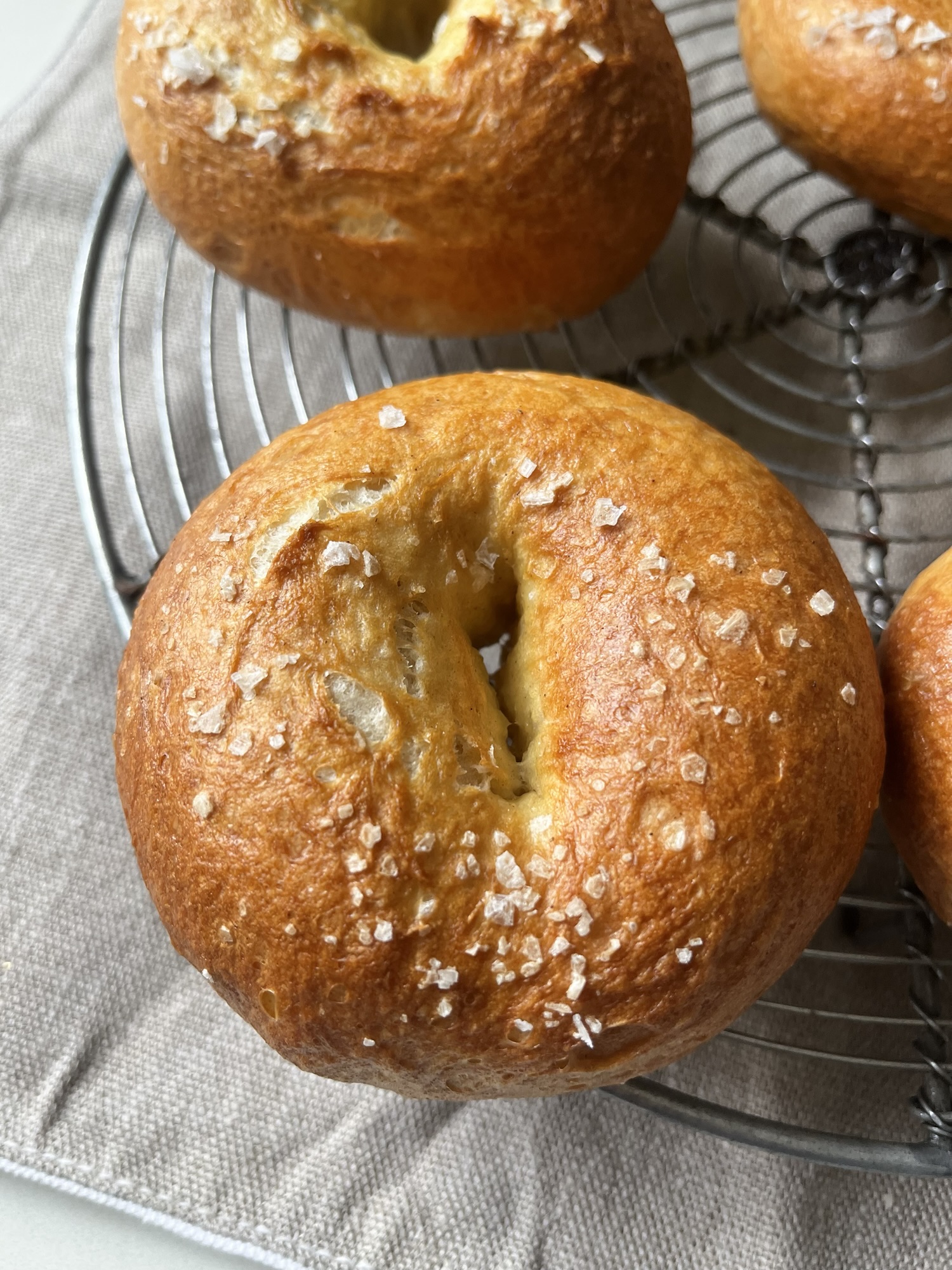 Easy Homemade Bagels – The Only Recipe You'll Ever Need