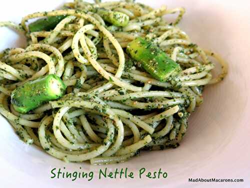 Stinging Nettle Pesto