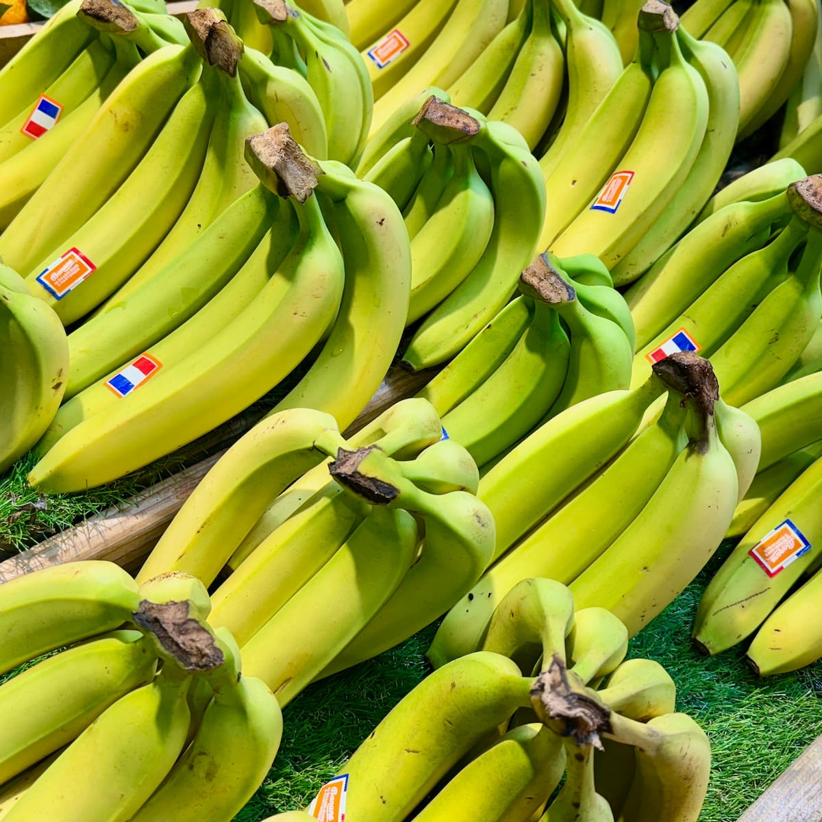 Bananas (Bananes)
