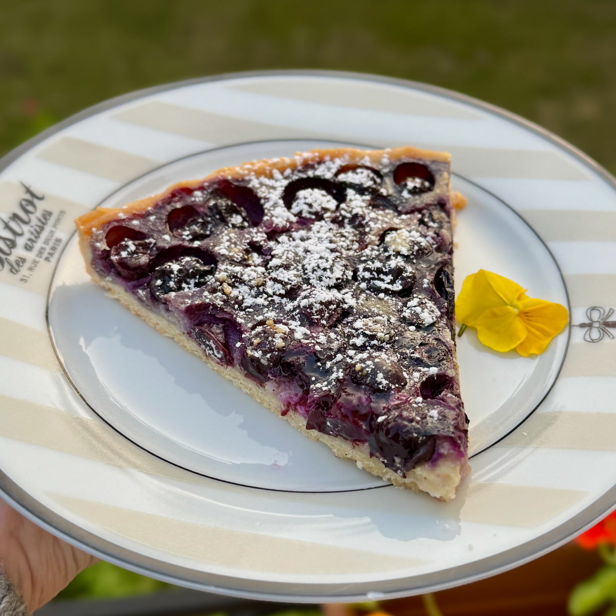 French Blueberry Tart