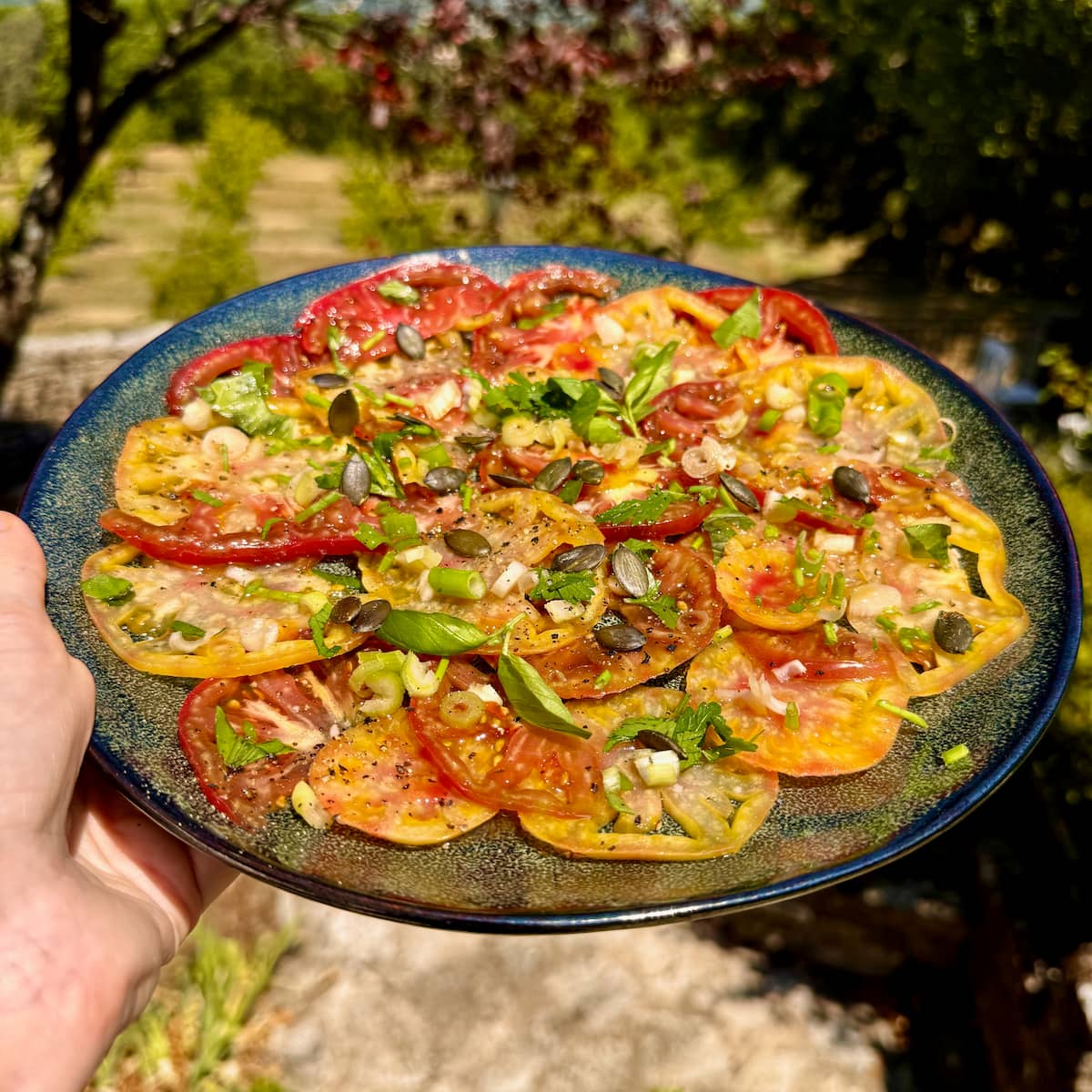 Tomato and Onion Salad (Carpaccio de Tomates)