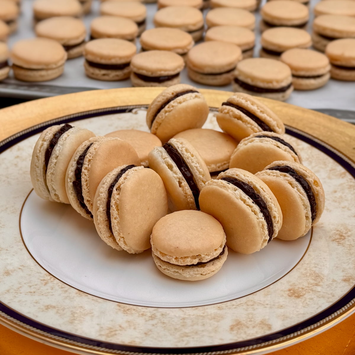 Beginner French Macarons
