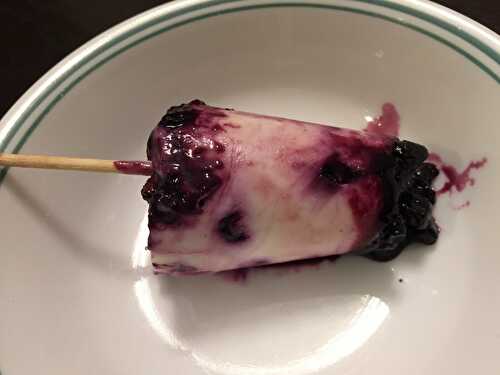 Blueberry Yoghurt Popsicle