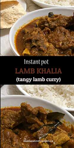 Instant Pot Lamb Khalia (Tangy Lamb Curry) Mama's Secret Recipes
