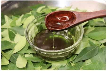Curry Leaves Hair Oil | Natural Hair Growth Oil Recipe | Karuveppillai oil