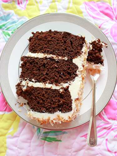 Chocolate coconut cake – Marshmallows & Margaritas