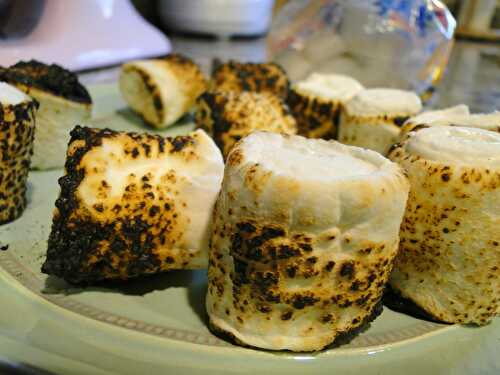 Toasted marshmallow milkshakes – Marshmallows & Margaritas