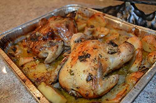CORNISH HEN ROASTED IN WINE AND HERBS WITH POTATOES