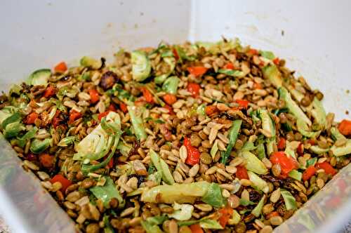 LENTIL SALAD WITH BRUSSELS SPROUTS, ROASTED BELL PEPPERS, AND CARROTS