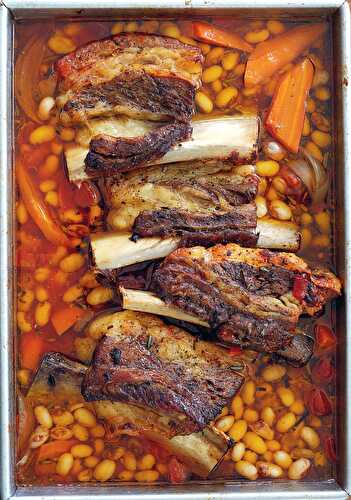 Braised Beef Short Ribs with Beans