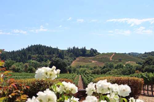 The Best Time To Visit Napa Valley – MK Library