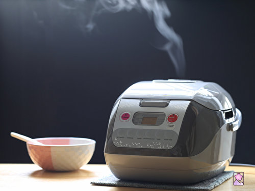 Rice Cookers – All You Need to Know to Get Perfect Rice Every Single Time - Mountain Plums