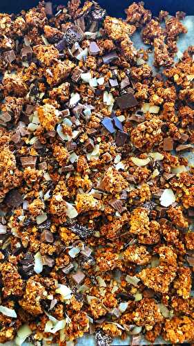 Crunchy Cluster Granola With Chocolate & Coconut