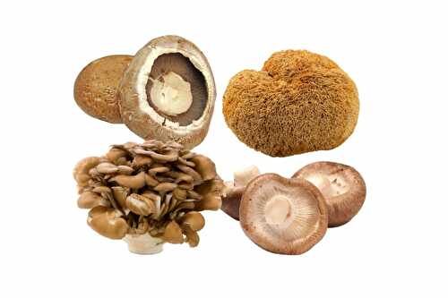 13 Oyster Mushroom Substitutes (Not only mushrooms!)