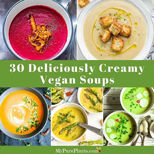 30 Deliciously Creamy Vegan Soups (For All Popular Vegetables) - My Pure Plants