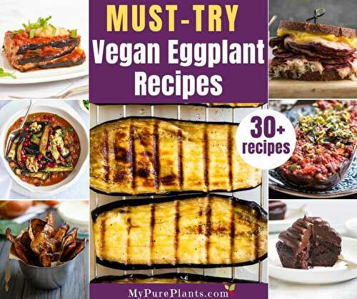 30+ Must-try Vegan Eggplant Recipes for ALL OCCASIONS - My Pure Plants