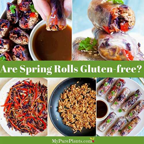 Are Spring Rolls Gluten-free? (GF Wrappers List + Recipes!)(2022) - My Pure Plants