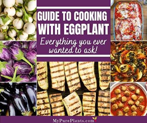 Cooking with Eggplant (Tips, Hacks, Recipes) - My Pure Plants