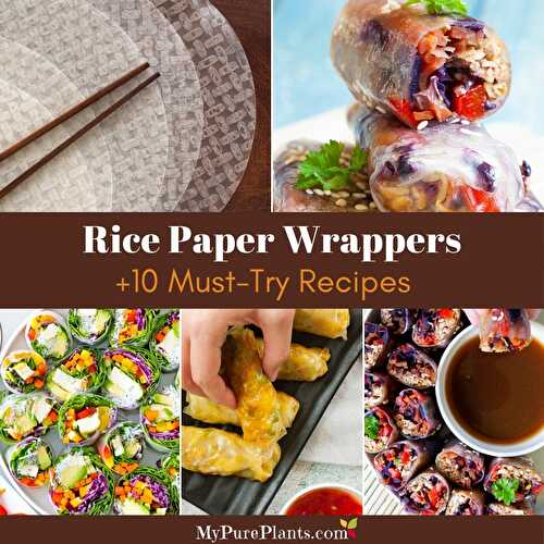 Guide to Rice Paper Wrappers (+10 Must-Try Recipes)