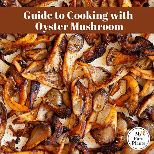 Oyster Mushrooms {ALL INFO} + 30 Recipes!
