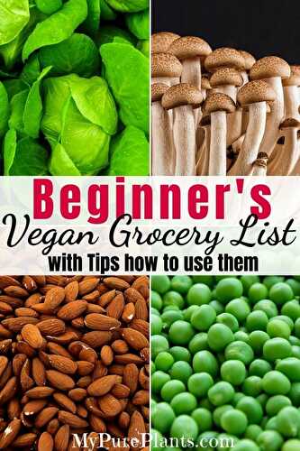 Vegan Grocery List with Tips to Use Them