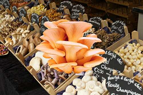 Where to buy oyster mushrooms? Are they seasonal?