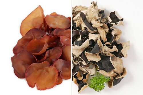 Wood Ear Mushrooms {ALL INFO} + 11 Recipes!