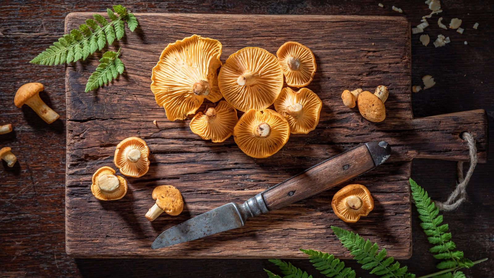 Mushroom Mania: 30 Extraordinary Recipes for a Culinary Transformation of Your Meals