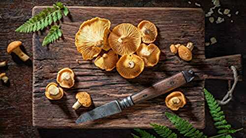 Mushroom Mania: 30 Extraordinary Recipes for a Culinary Transformation of Your Meals