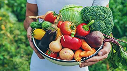 From Farm to Table: 15 Recipes Celebrating Fresh Summer Produce