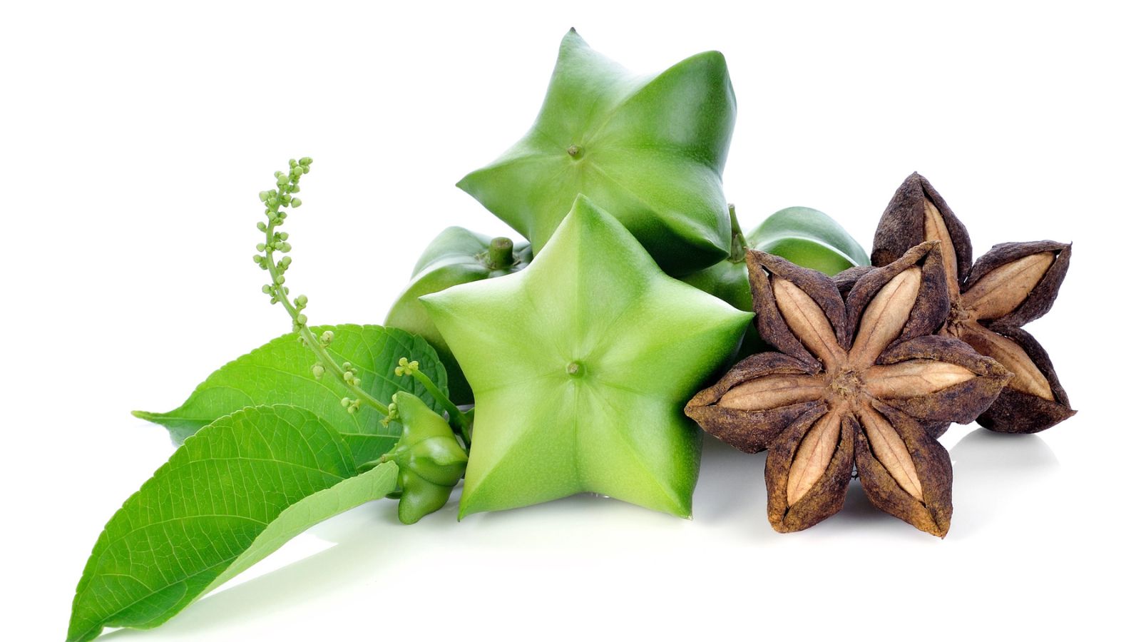 10 Superfoods You Probably Never Heard Of