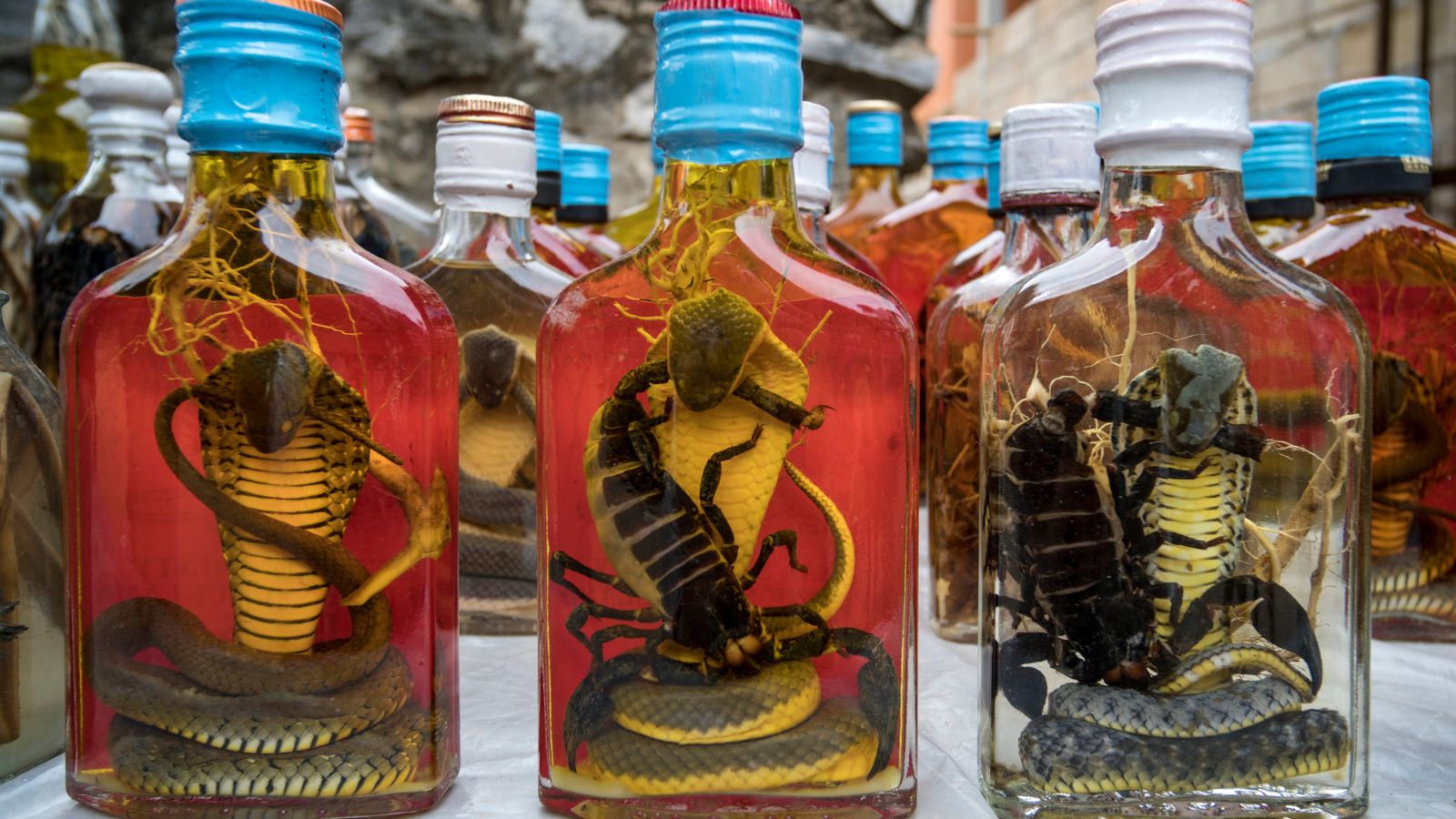 15 Odd Foods From The World You Won’t Believe Exist