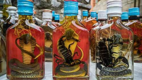 15 Odd Foods From The World You Won’t Believe Exist