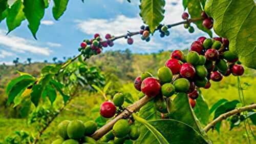 14 Delicious Foods You Won’t Be Able To Buy Anywhere Soon