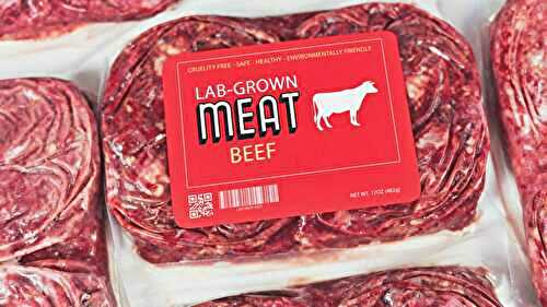 Disturbing Future Steak Substitutes Predicted for the Next 15 Years