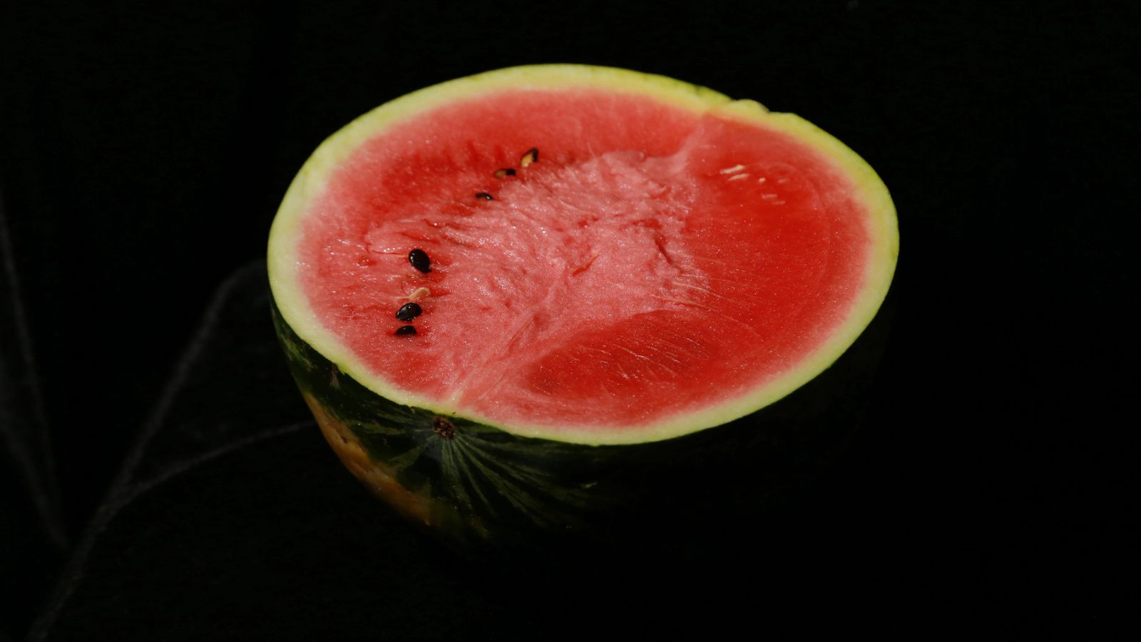 These Are The 15 Most Expensive Dishes You Could Possibly Order In Restaurants Now