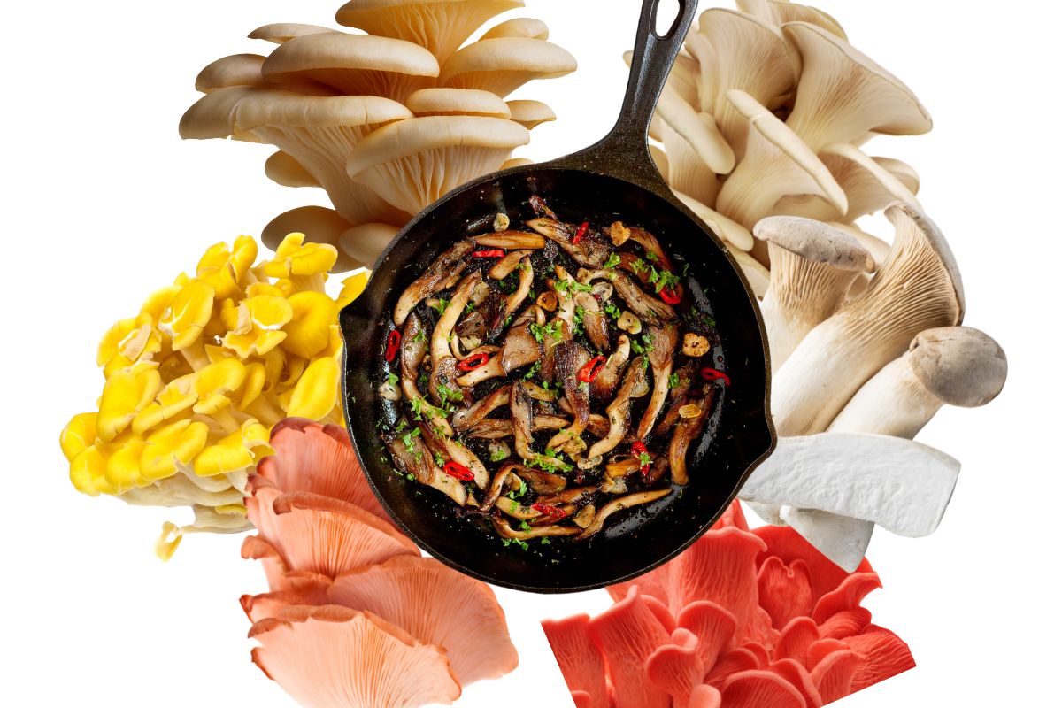 6 Ways to Cut Oyster Mushrooms (Tips & Techniques)