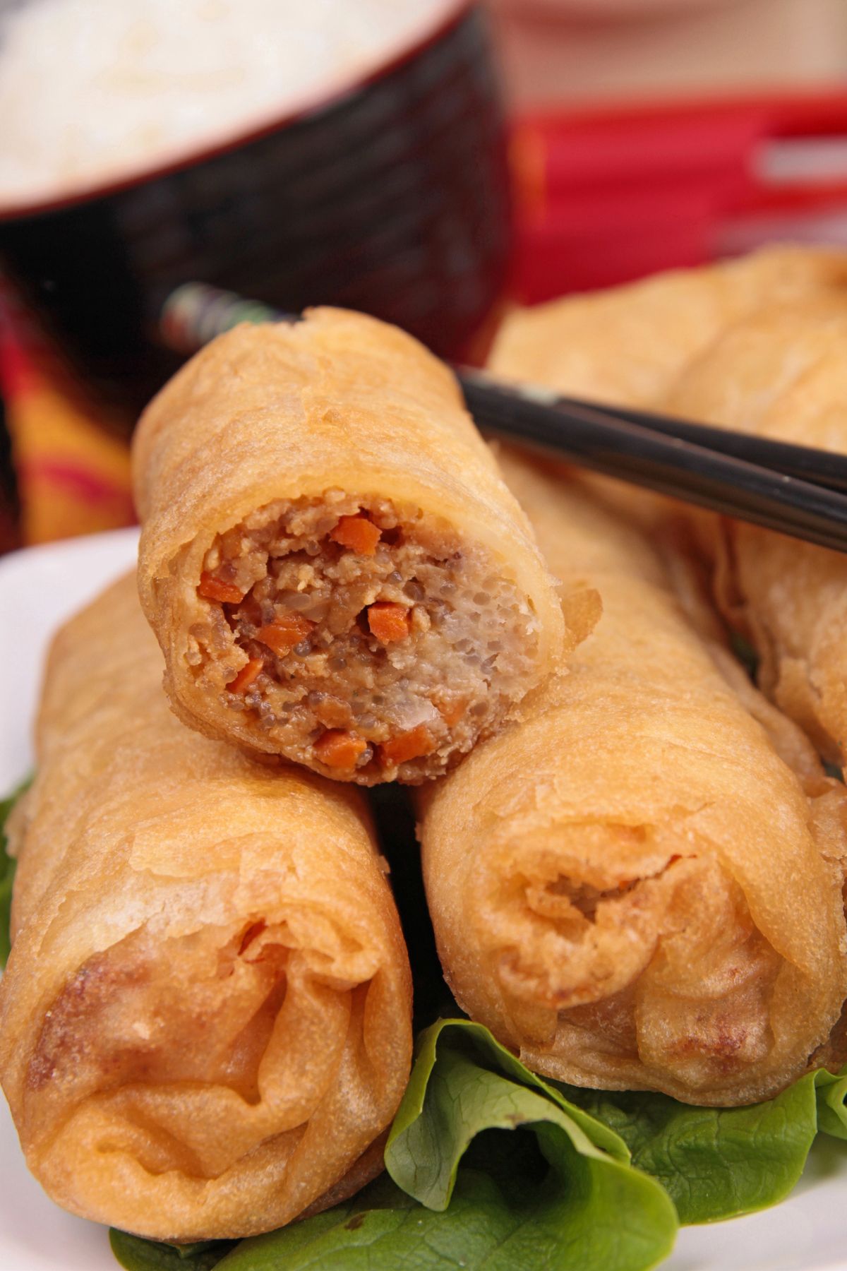 9 Delicious Protein Ideas for Vegan Spring Rolls